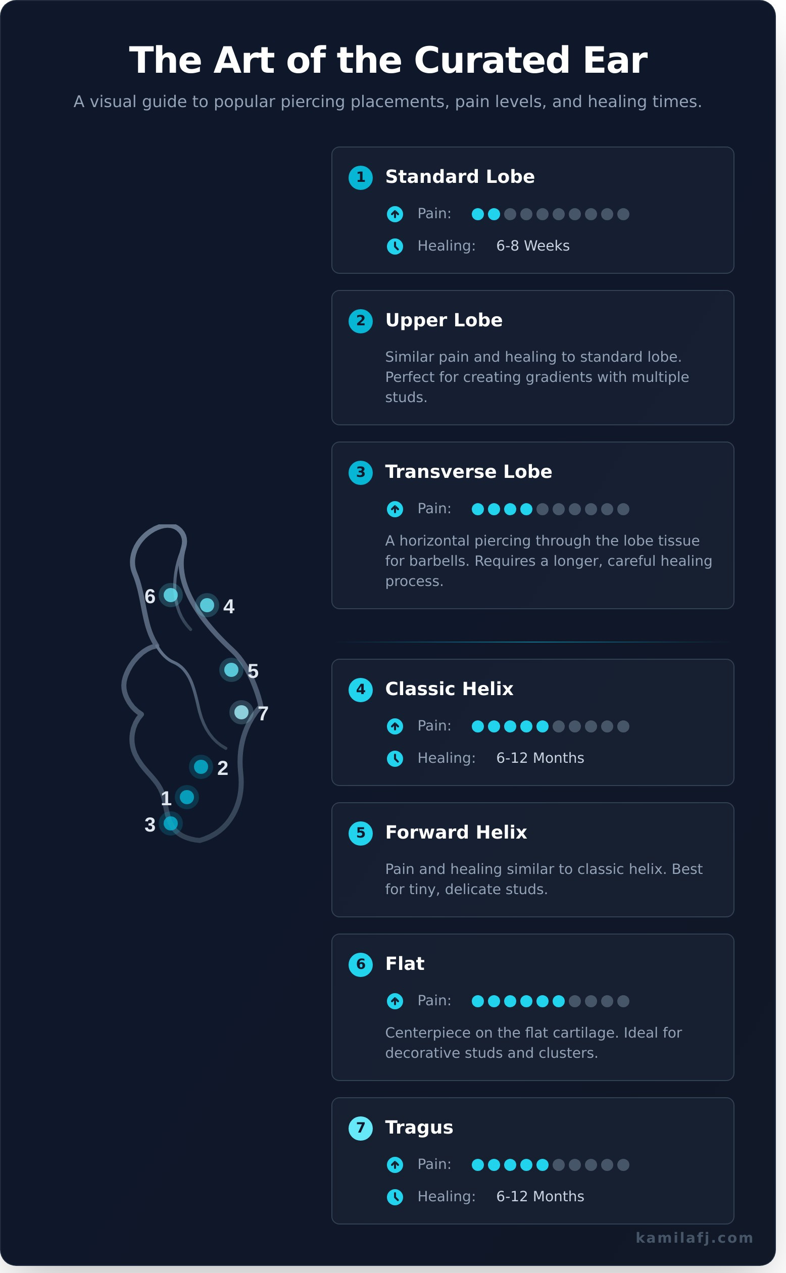 The Art of the Curated Ear: A Guide to Every Type of Piercing - Infographic